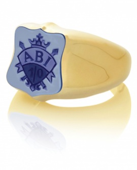 Siegelring signet rings Abitur Wappen Gelbgold weiss blau