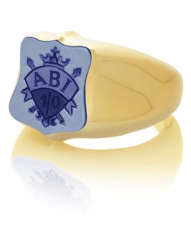 Siegelring signet rings Abitur Wappen Gelbgold weiss blau